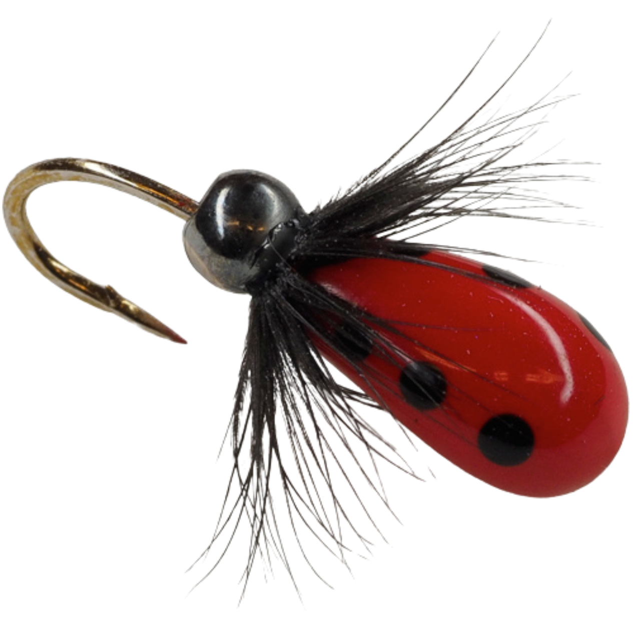 MA Perho-Morri 1,3g | 7