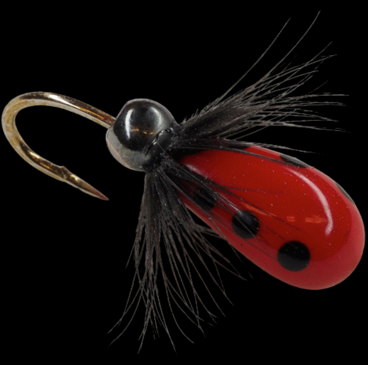 MA Perho-Morri 1,3g | 7