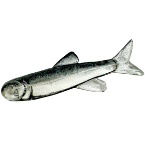 Ruthless Orka Small Fish Jigi 3cm 6kpl | TR1