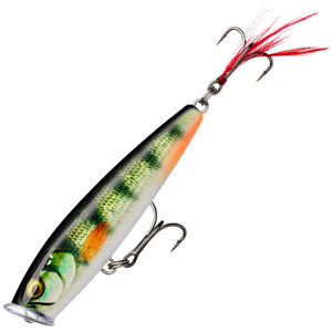 Rapala Skitter Pop Elite Popperi 7,5cm 10g | Gilded Live Perch