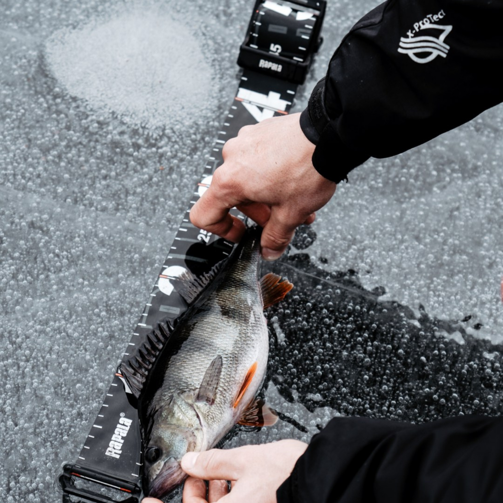 Rapala RCD Roll Ruler kalamitta