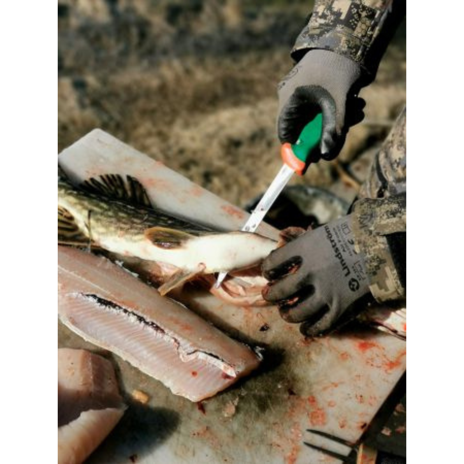 Sanelli Premana 22cm fileointiveitsi