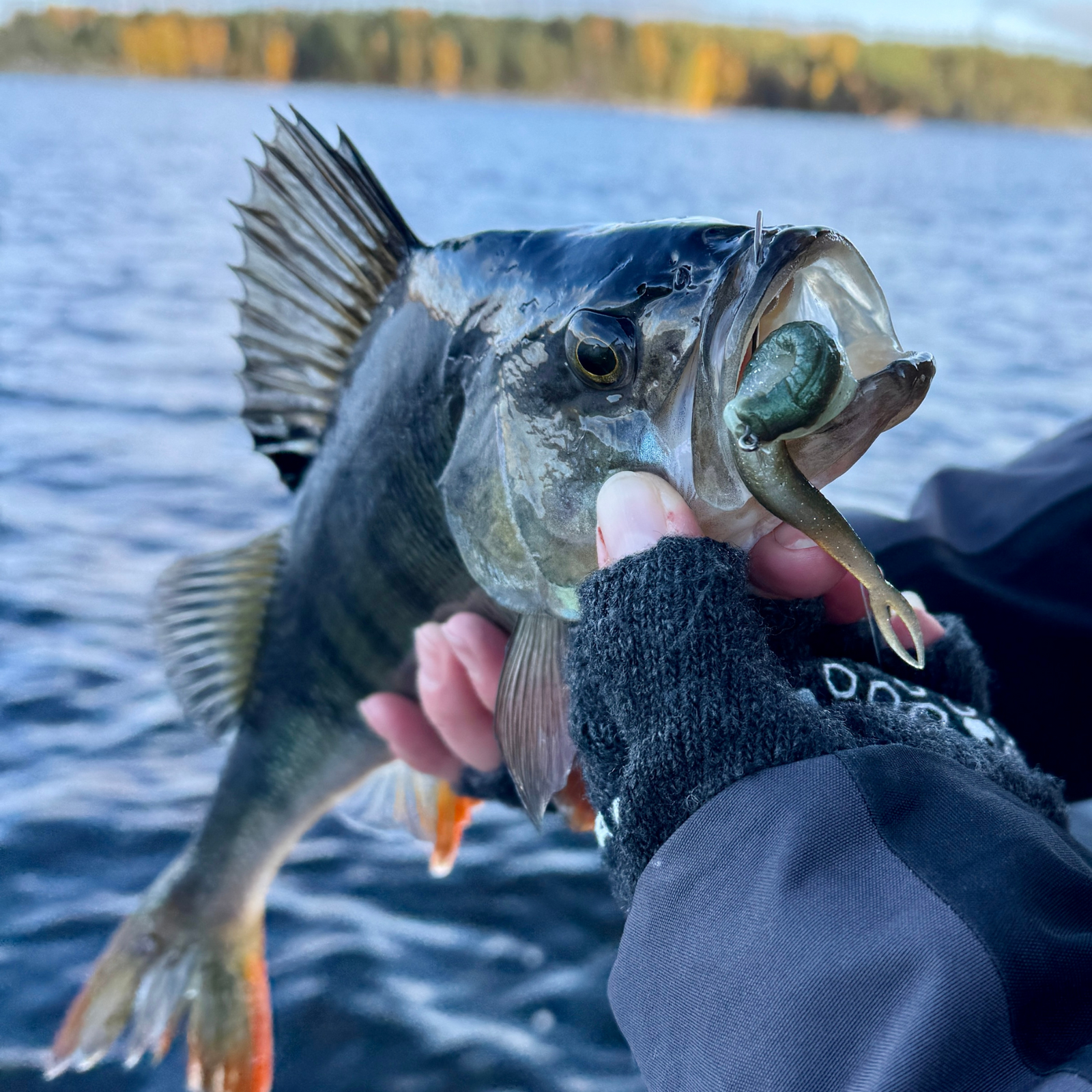 Rapala Crushcity The Jerk Jigi 3.75" 7kpl | Neon Pearl