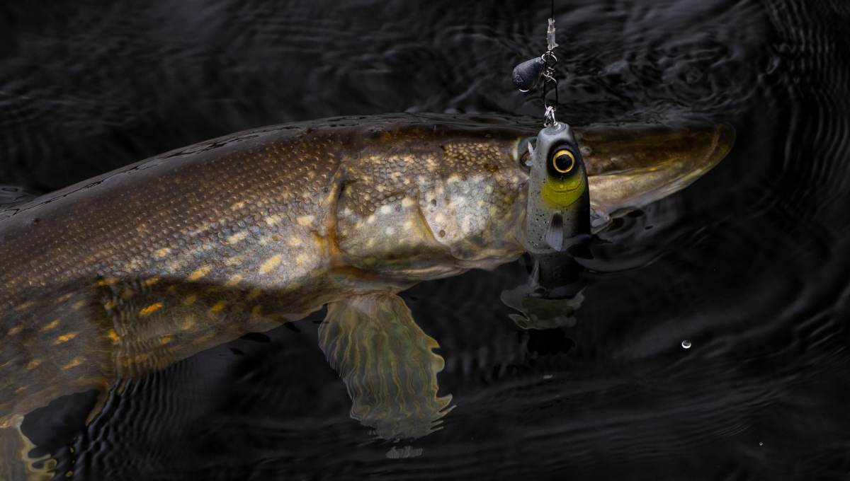 Kuore Bigfoot 22cm 85g