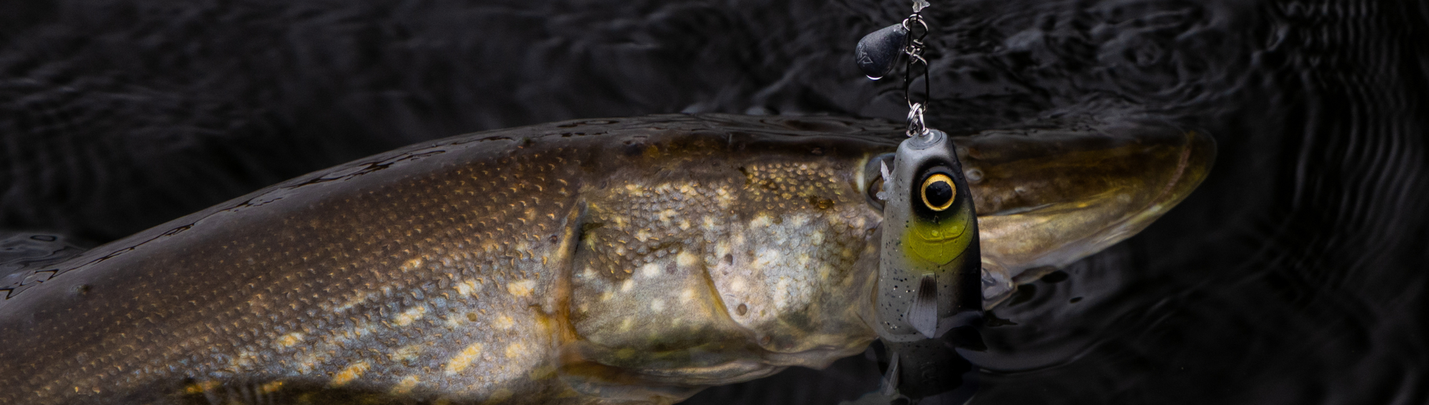 Kuore Bigfoot 22cm 85g