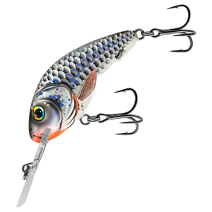 Salmo Rattlin' Hornet 5,5cm 10,5g Kelluva Vaappu | Silver Holographic Shad