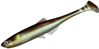 Bleak Shad 9cm