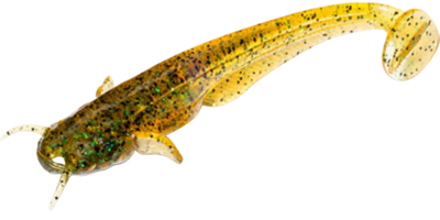 Catfish 2"