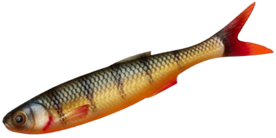 Craft Dying Minnow 10cm