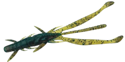 Shrimp 3"