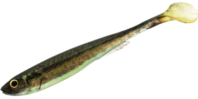 Slim Shad Y 10.5cm