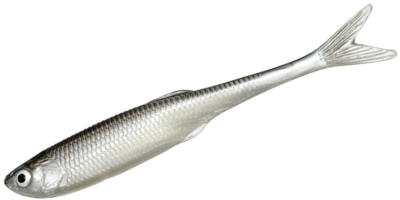 Dominator Kalapyrstö