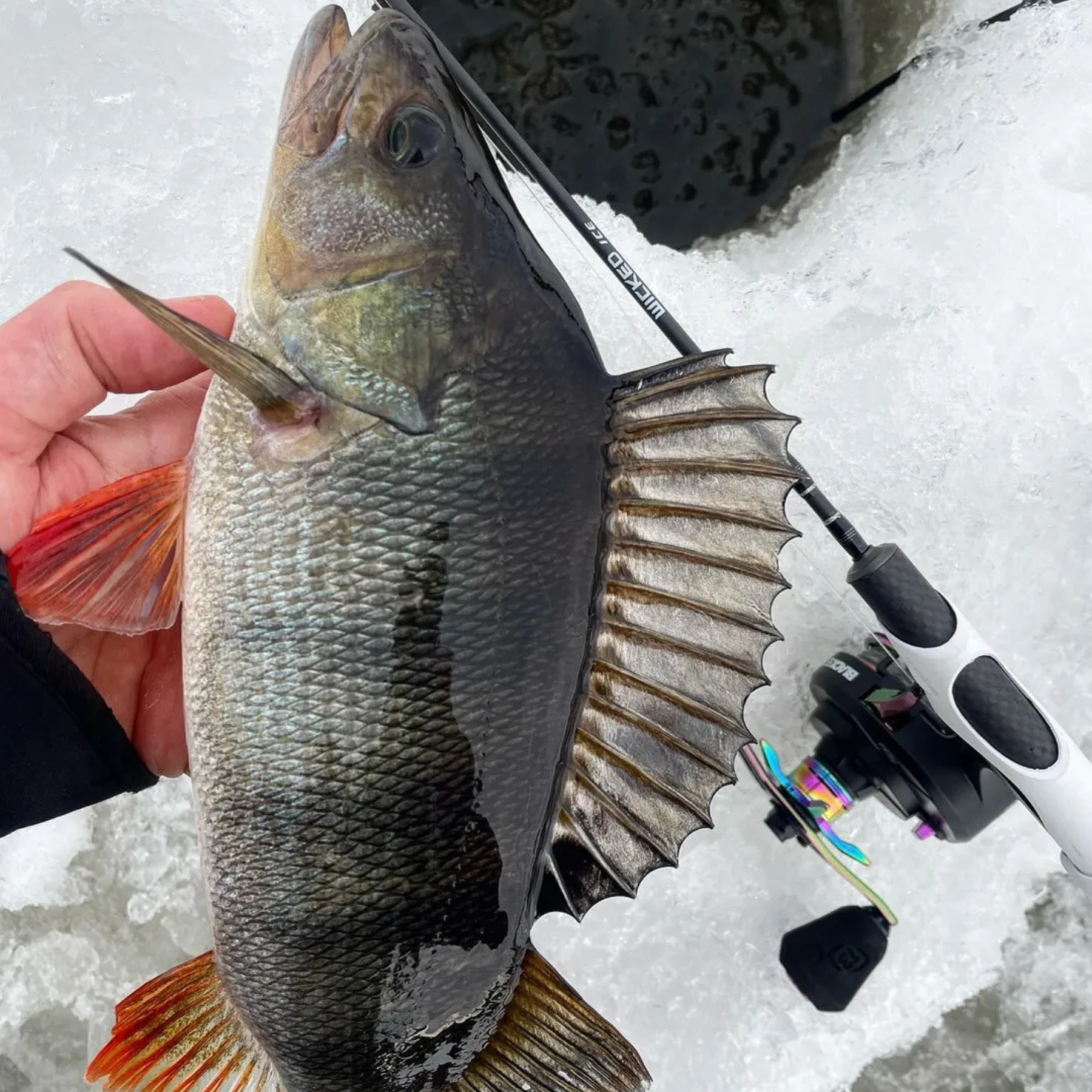 13 Fishing Wicked Ice Rod 20" (51cm) MH pilkkivapa