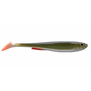 Daiwa Prorex Slim Shad Y 10.5cm Jigi 3kpl | Natural Roach