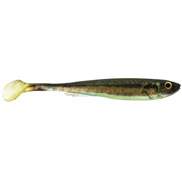 Daiwa Prorex Real Slim Shad Y LIVE 7.5cm Jigi 3kpl | Baby Zander