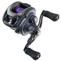 Daiwa 20 PROREX PE SV TW 100HS L Hyrräkela | Left
