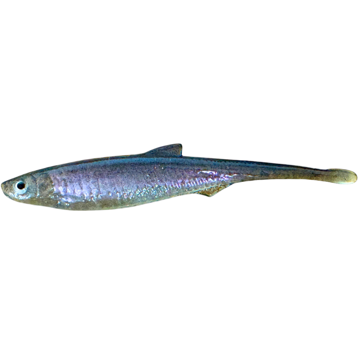 Evä Baits Bleak Spike Tail Jigi 10cm | Ghost White Purple 1kpl