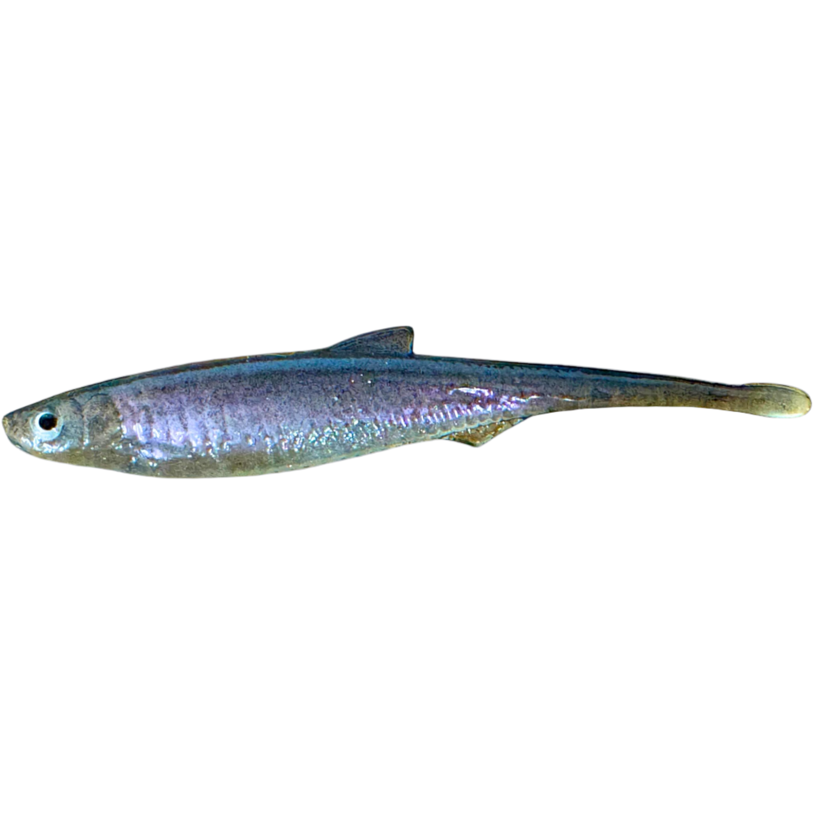 Evä Baits Bleak Spike Tail Jigi 10cm | Ghost White Purple 1kpl