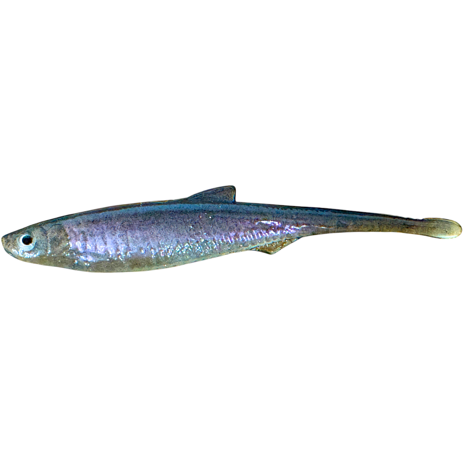 Evä Baits Bleak Spike Tail Jigi 10cm | Ghost White Purple 1kpl