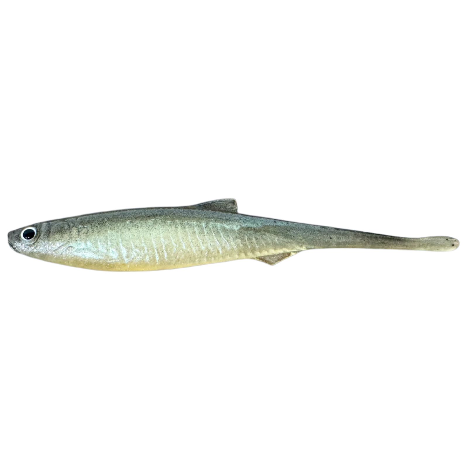 Evä Baits Bleak Spike Tail Jigi 10cm | Ghost White turkoosi 1kpl