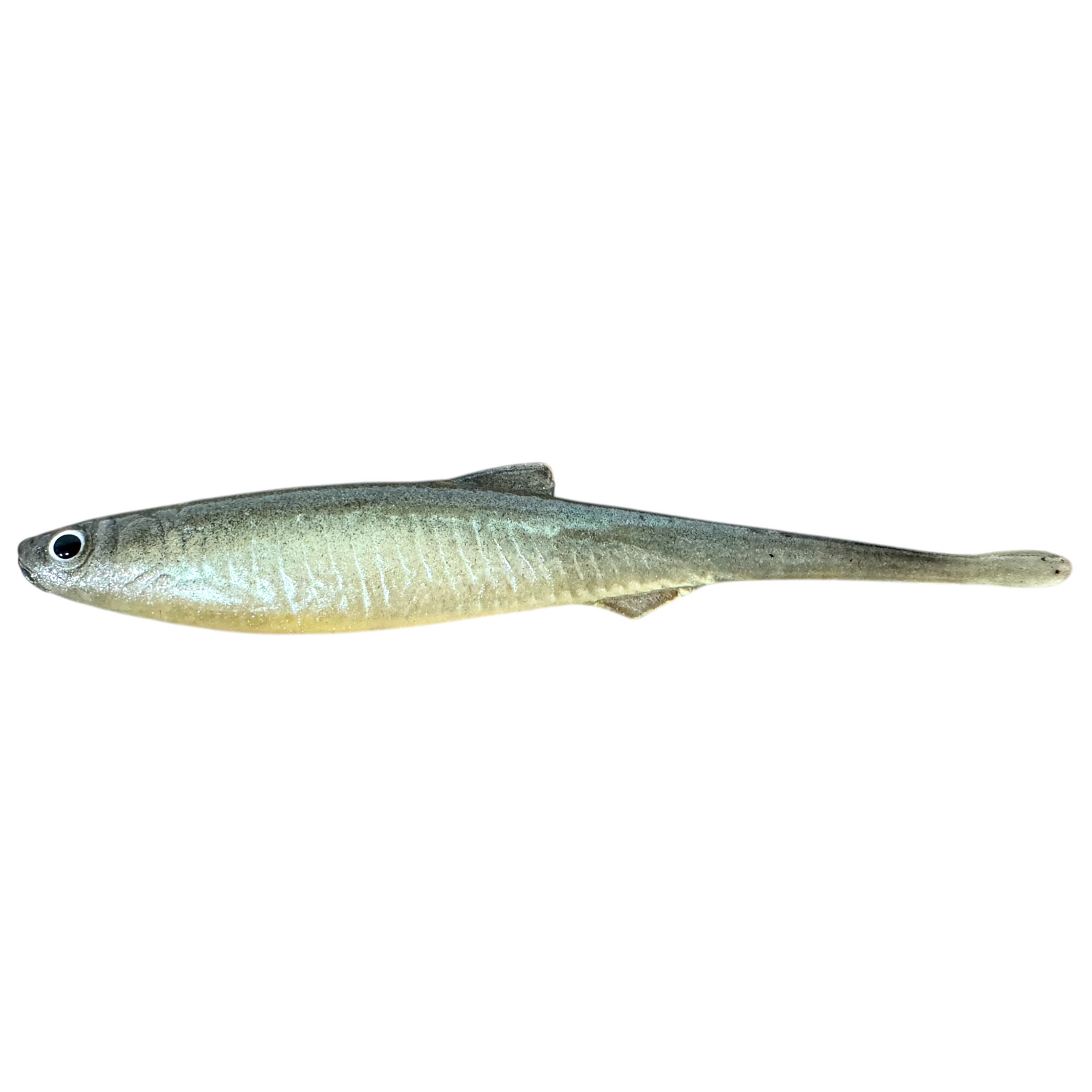Evä Baits Bleak Spike Tail Jigi 10cm | Ghost White turkoosi 1kpl