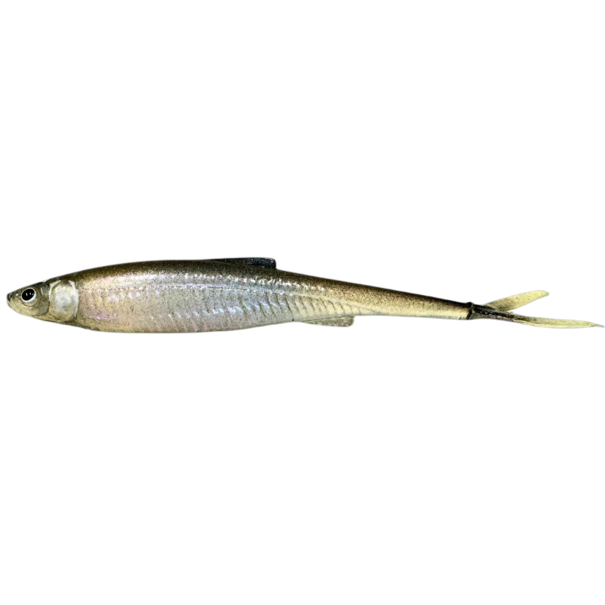 Evä Baits DS 13 V-Tail Jigi 13cm | Ghostwhite Lila 1kpl