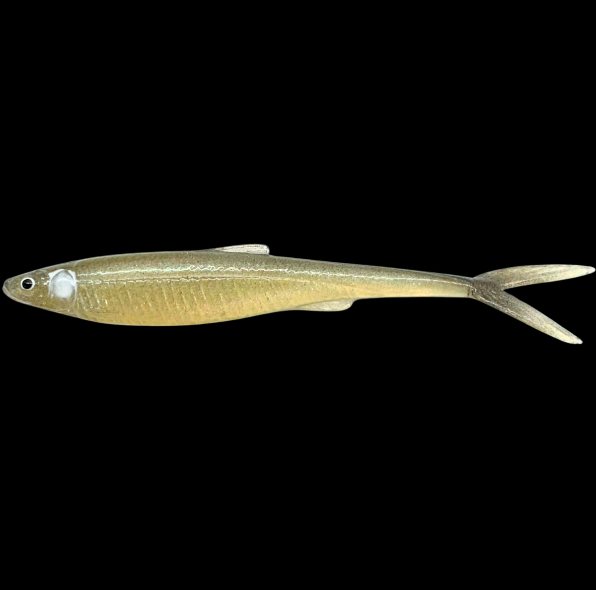 Evä Baits DS 13 V-Tail Jigi 13cm 1kpl | Ghostwhite Turkoosi