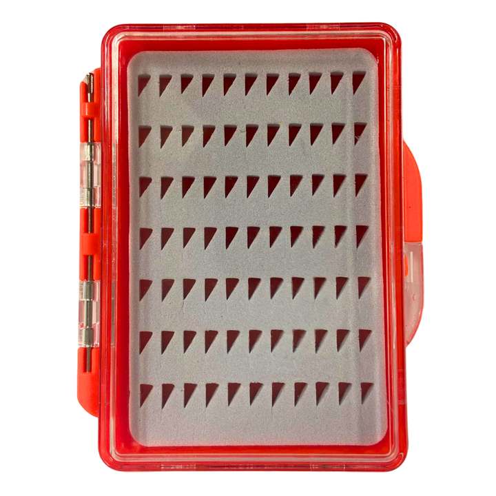Finnex morrirasia | S