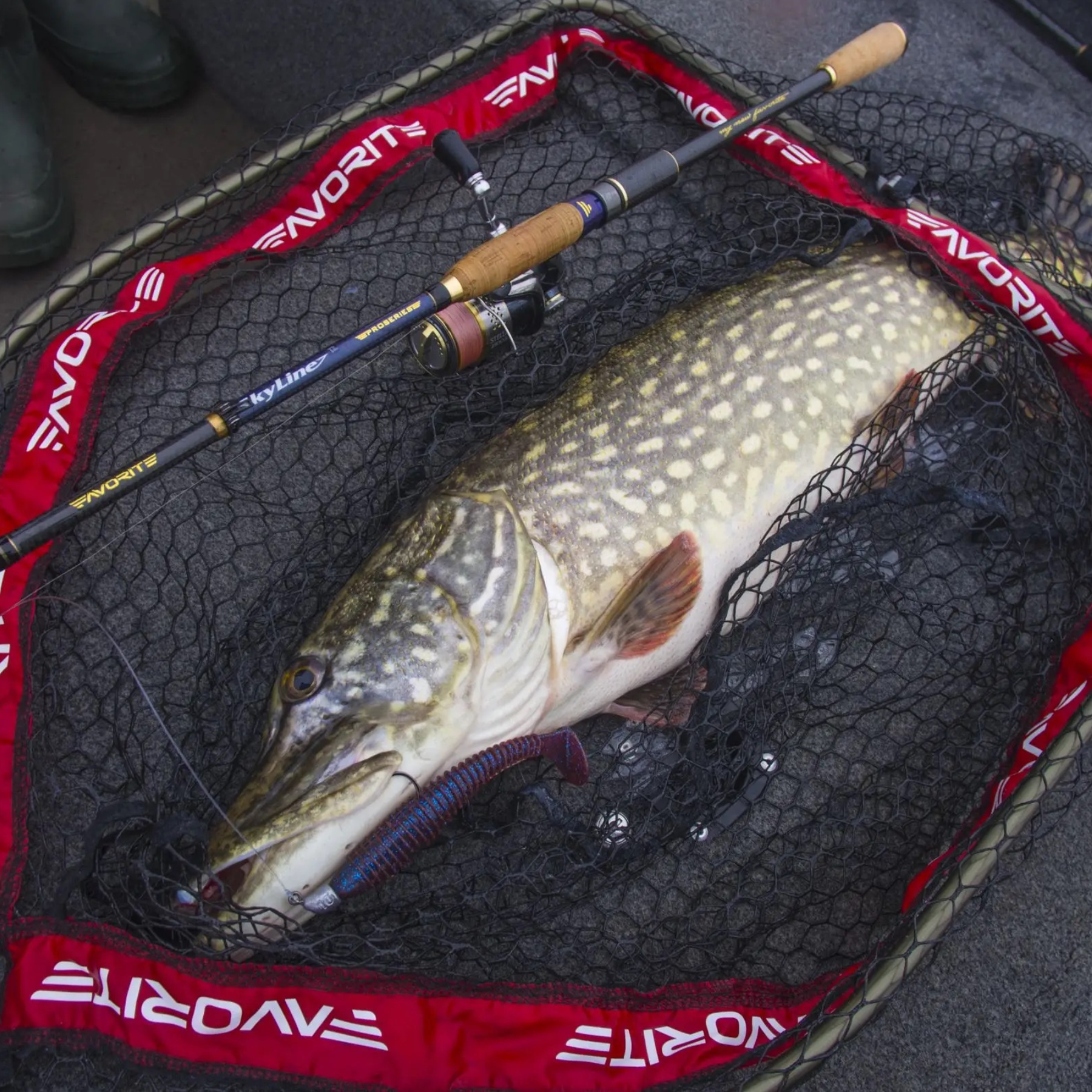 Favorite Folding Landing Net 75x60x70cm Kumihavashaavi