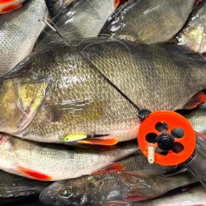 Kyrösmeri karvapyrstö Tasapainopilkki 25mm | 006