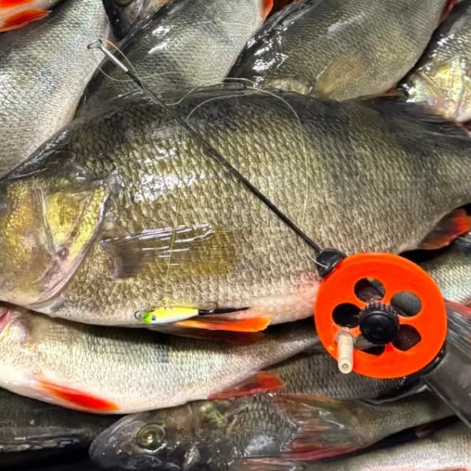 Kyrösmeri karvapyrstö Tasapainopilkki 25mm | 009