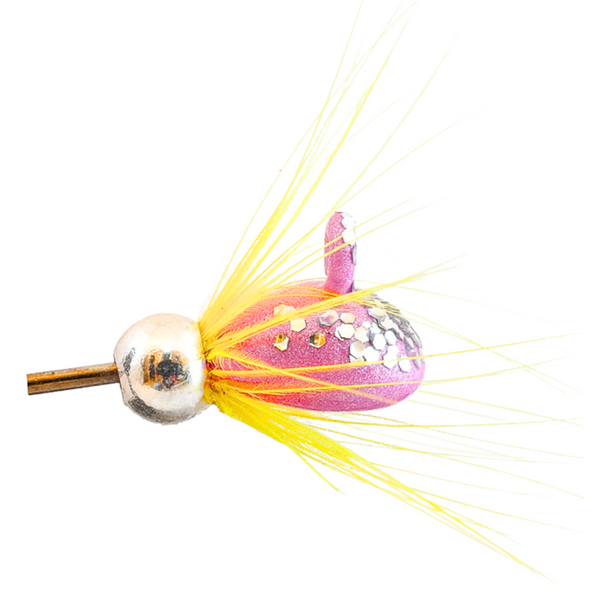 MA Rautu-Mutu mormuska | 11