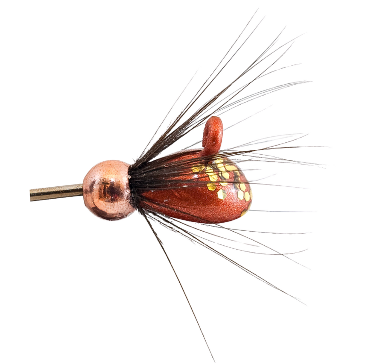 MA Rautu-Mutu mormuska | 13