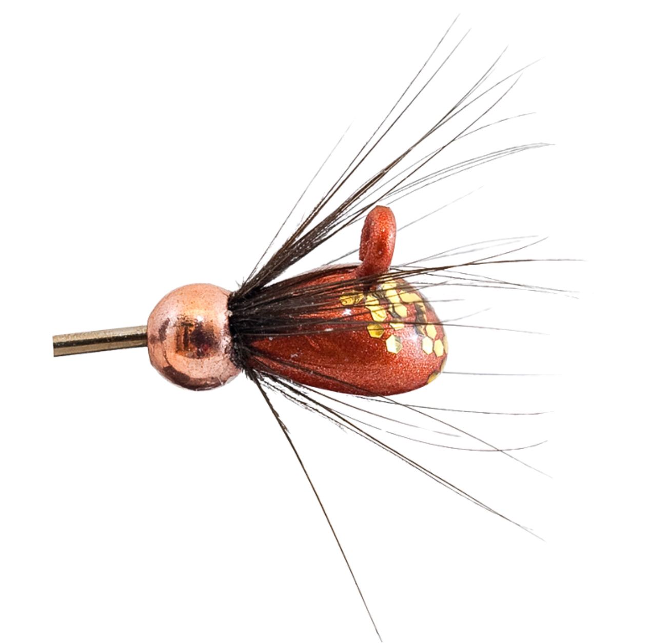 MA Rautu-Mutu mormuska | 13