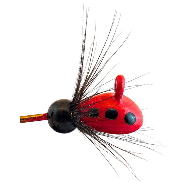 MA Rautu-Mutu mormuska | 7