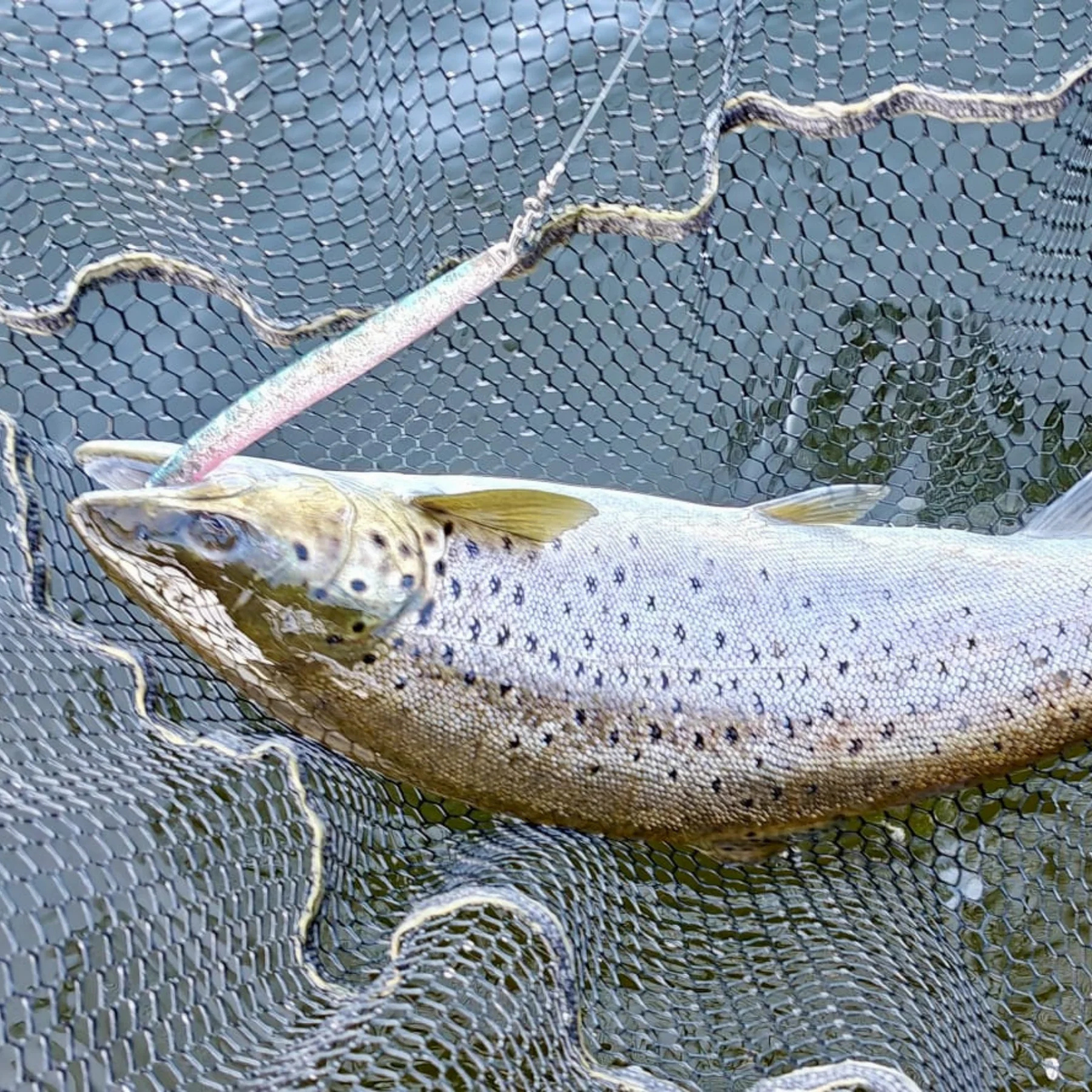 StoneValley Baits Arrow 150mm 28g Meritaimenviehe | 006 Kolmipiikki