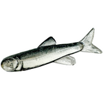 Ruthless Orka Small Fish Jigi 3cm 6kpl | TR1