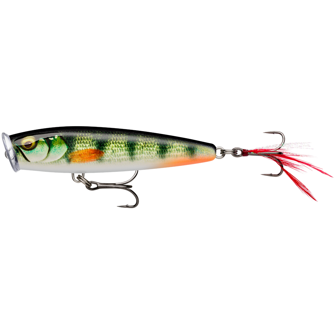 Rapala Skitter Pop Elite Popperi 7,5cm 10g | Gilded Live Perch