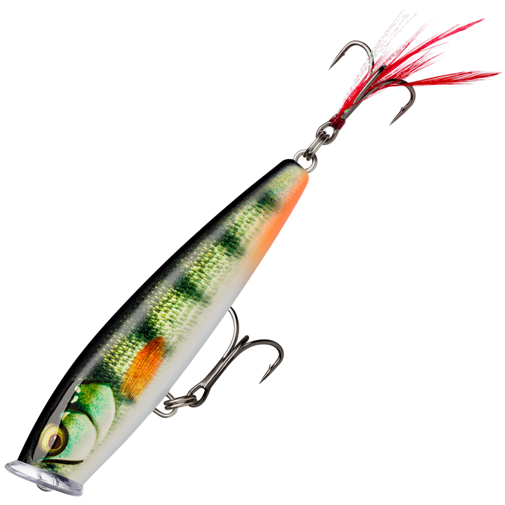 Rapala Skitter Pop Elite Popperi 7,5cm 10g | Gilded Live Perch