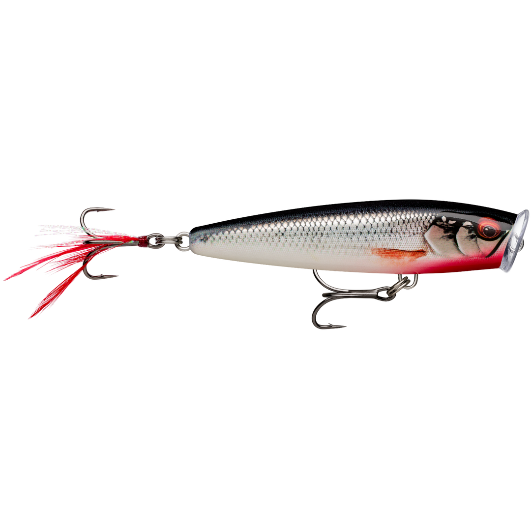 Rapala Skitter Pop Elite Popperi 7,5cm 10g | Gilded Live Roach