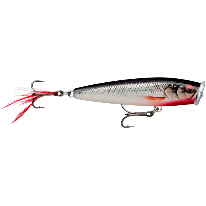 Rapala Skitter Pop Elite Popperi 7,5cm 10g | Gilded Live Roach