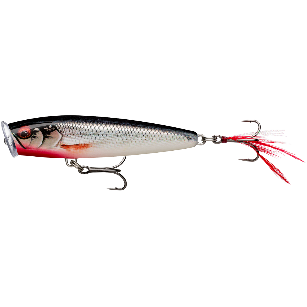Rapala Skitter Pop Elite Popperi 7,5cm 10g | Gilded Live Roach