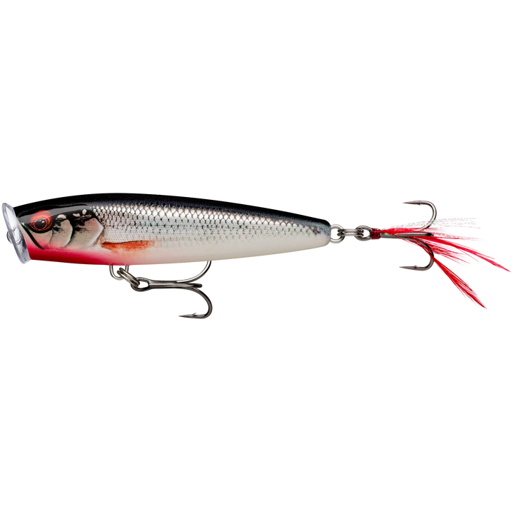Rapala Skitter Pop Elite Popperi 7,5cm 10g | Gilded Live Roach