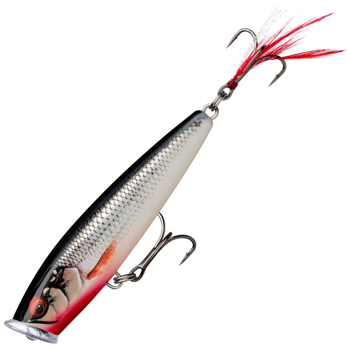 Rapala Skitter Pop Elite Popperi 7,5cm 10g | Gilded Live Roach