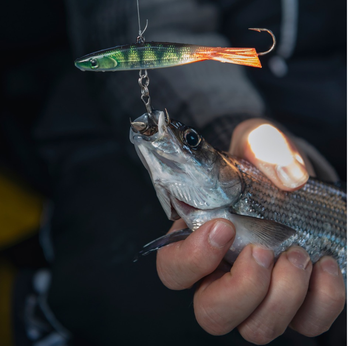 Rapala Jigging Shadow Rap kevennetty tasapainopilkki 70mm 10g | BAP