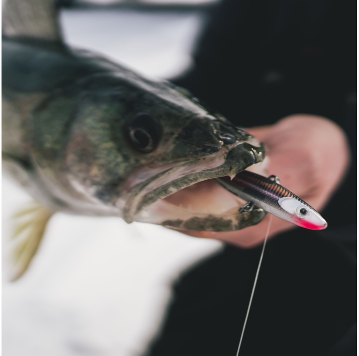 Rapala Jigging Shadow Rap kevennetty tasapainopilkki 70mm 10g | BAP