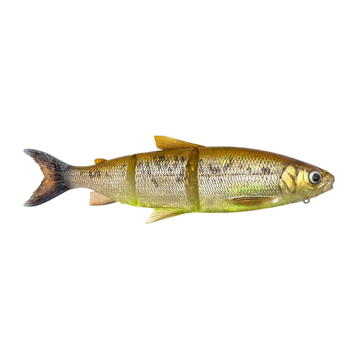 Savage Gear 3D Line Thru Whitefish Haukijigi 36cm 478g | Brown Chartreuse