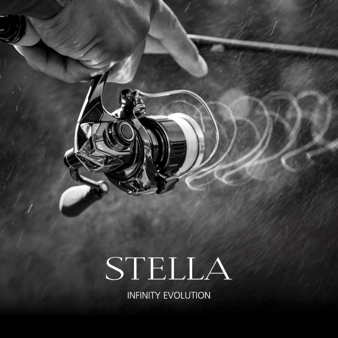 Shimano Stella FK 1000 Avokela