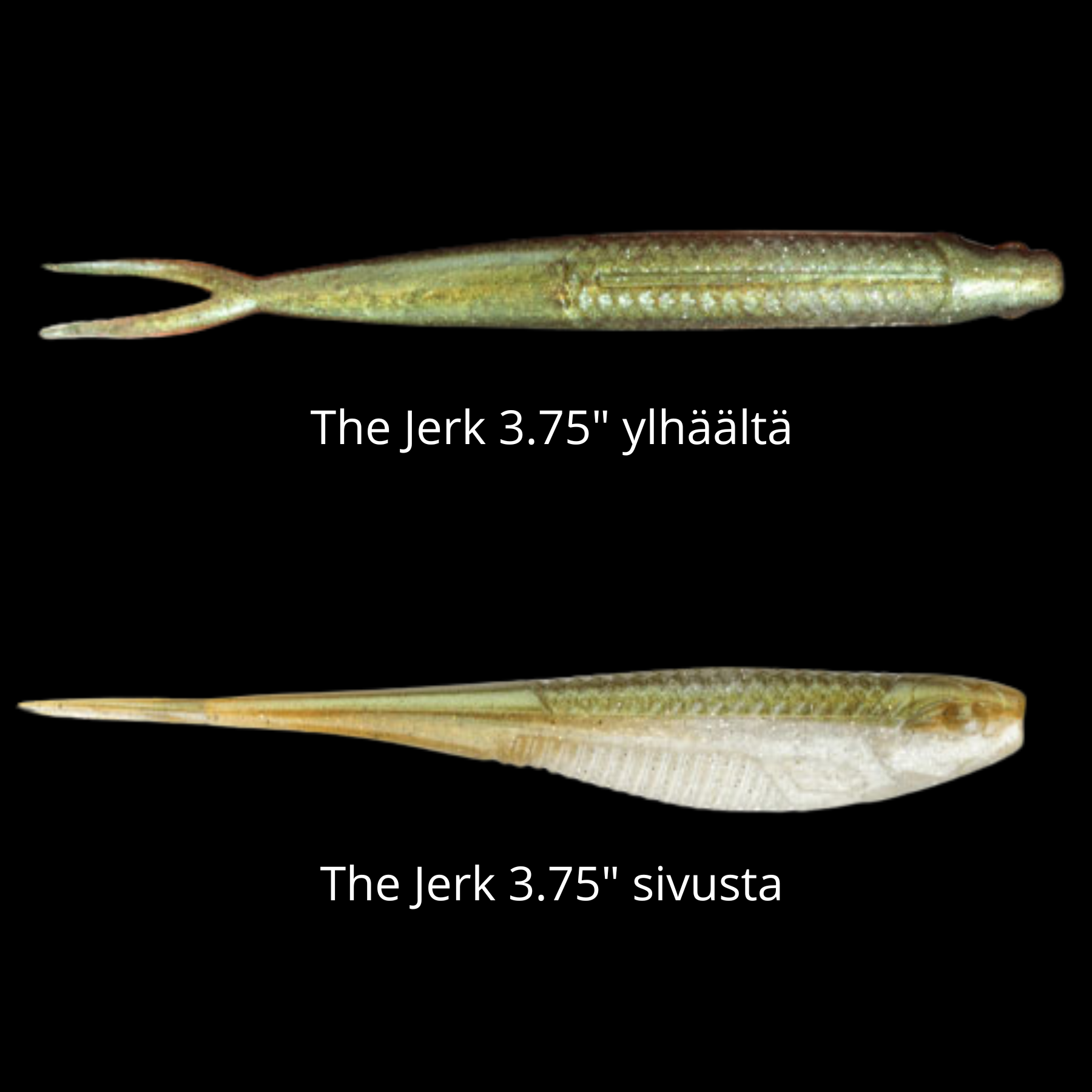 Rapala Crushcity The Jerk 3.75" jigi 7kpl | Budgie