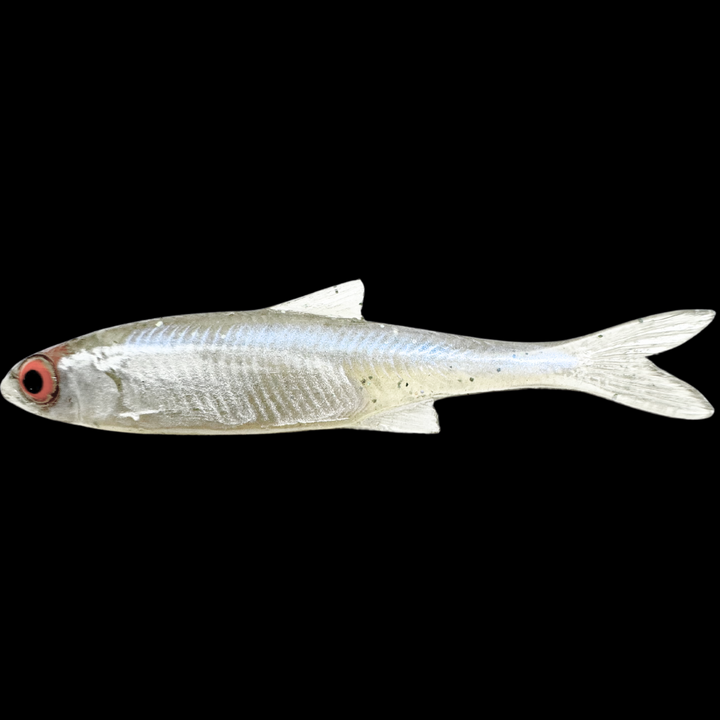 Dominator URSB Särki Kalapyrstö Jigi 5,5cm 1kpl | ZSN